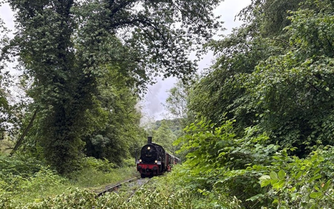 FW-EN: Umgestürzter Baum stoppt Museumszug - Feuerwehr Hattingen im Einsatz - Bild: presseportal.de