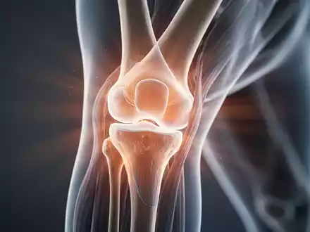 Close-up, detailed view of a human knee joint, highlighting bone and cartilage with soft, illuminating light. - Foto: über boerse-global.de