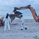 Ein Bagger hievte immer wieder Teile des Wals in Richtung der Container. - Bild: Kai Moorschlatt/dpa