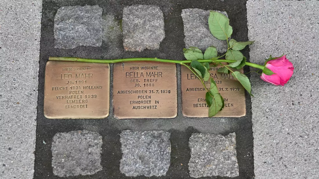 Stolpersteine erinnern in vielen deutschen Städten an individuelle Opfer des Nationalsozialismus. (Archivbild) - Bild: Swen Pförtner/dpa