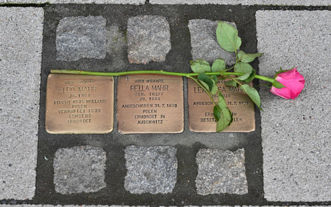 Stolpersteine erinnern in vielen deutschen Städten an individuelle Opfer des Nationalsozialismus. (Archivbild) - Bild: Swen Pförtner/dpa