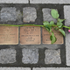Stolpersteine erinnern in vielen deutschen Städten an individuelle Opfer des Nationalsozialismus. (Archivbild) - Bild: Swen Pförtner/dpa