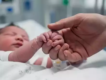 Eine winzige Babyhand, die den Finger eines Erwachsenen hält, symbolisiert die Zerbrechlichkeit und Unterstützung von Frühgeborenen. - Foto: über boerse-global.de