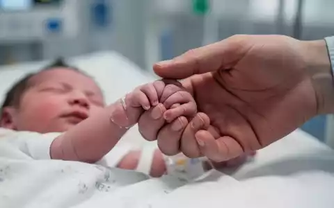 Eine winzige Babyhand, die den Finger eines Erwachsenen hält, symbolisiert die Zerbrechlichkeit und Unterstützung von Frühgeborenen. - Foto: über boerse-global.de