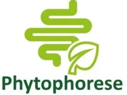 Phytophorese - Foto: bonaFeel über pressetext.de