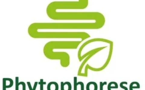 Präzisionspräbiotikum PHYTO: Neue Generation der Mikrobiom-Unterstützung dank patentierter PHYTOPHOR