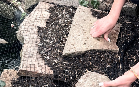 POL-UN: Schwerte - Bürgerin meldet Vogel in Not - Polizisten retten das Tier - Bild: presseportal.de