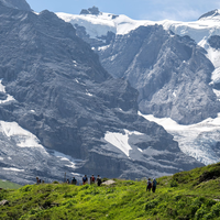 Die vermisste Wanderin wurde in den Schweizer Alpen tot gefunden. (Symbolbild) - Foto: Peter Schneider/KEYSTONE/dpa
