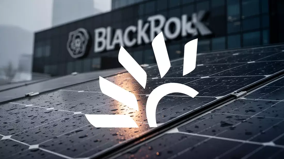 Canadian Solar Aktie: Kursrutsch trotz BlackRock-Milliardeninvestment