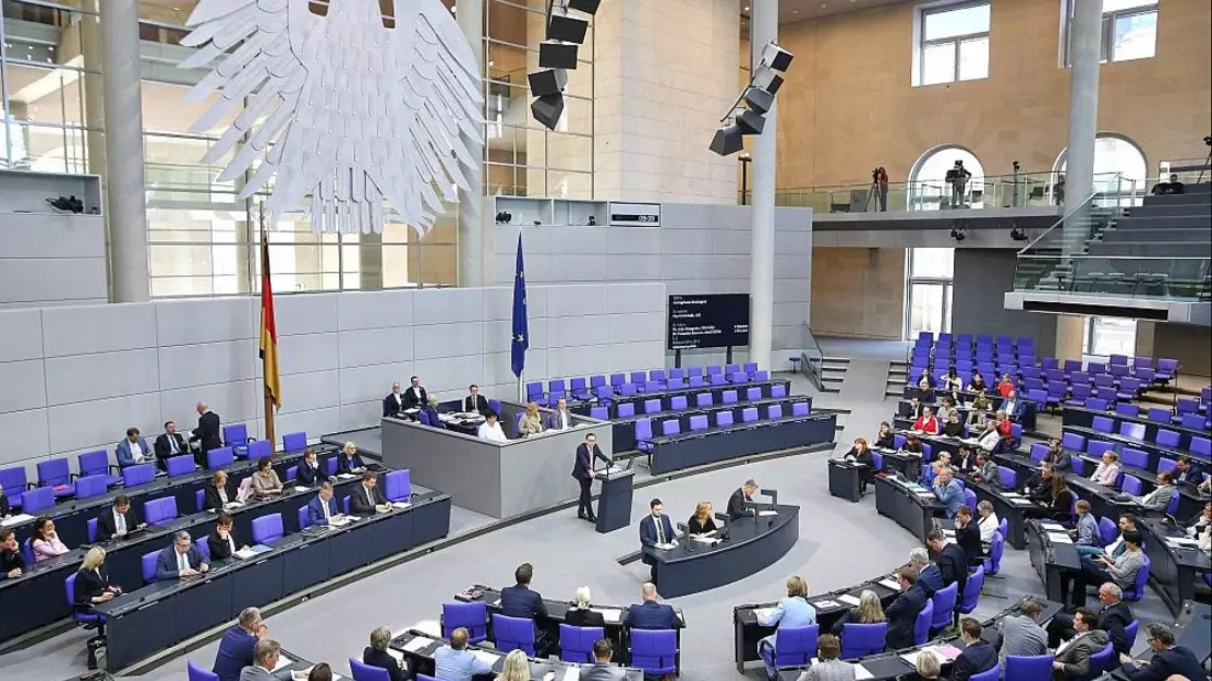 Linke kritisiert Altersbezüge von Abgeordneten als zu hoch