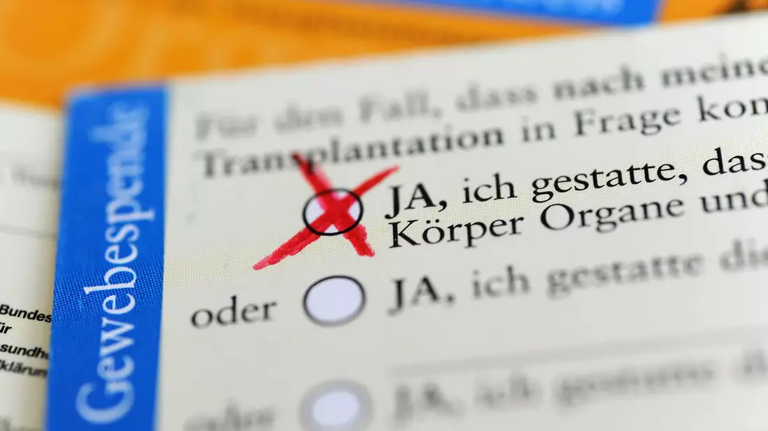 In Deutschland müssen spätere Spender zu Lebzeiten oder stellvertretend die Angehörigen einer Organentnahme explizit zustimmen. (Symbolbild) - Bild: Marie Reichenbach/dpa