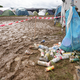 Leere Dosen sind nur ein Beispiel für Müll, der bei einem Festival anfallen kann.  - Bild: Thomas Frey/dpa