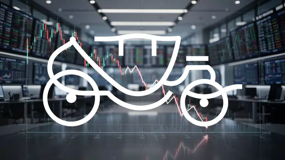 D'ieteren Group Aktie: 18,8% unter Rekordhoch im Februar