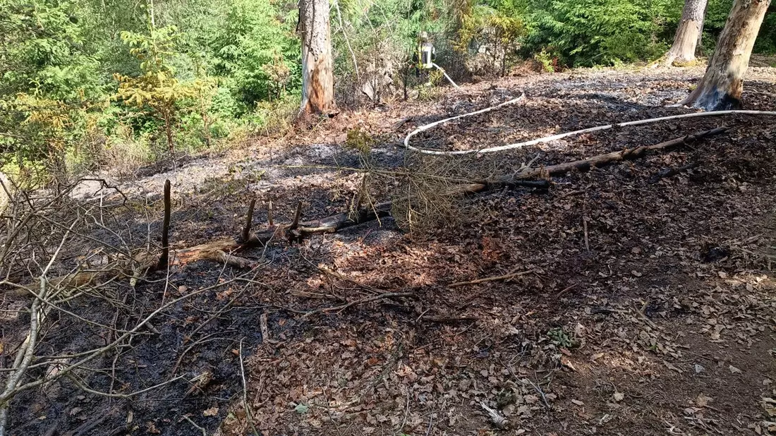 FW Heimbach: Waldbrand im Kermeter fordert Einsatzkräfte aus zwei Landkreisen - Bild: presseportal.de