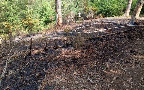 FW Heimbach: Waldbrand im Kermeter fordert Einsatzkräfte aus zwei Landkreisen - Bild: presseportal.de