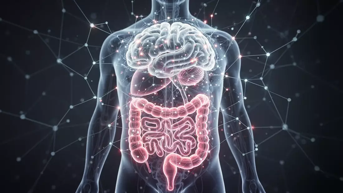 Darm-Hirn-Achse: Neue Studien zu Psyche und Immunsystem