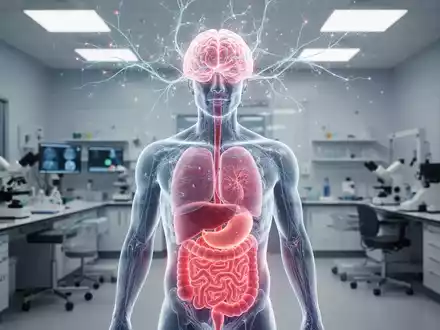 Eine stilisierte menschliche Torso-Darstellung mit leuchtendem viszeralem Fett und neuronalen Verbindungen um den Kopf in einem Labor. - Foto: ĂŒber boerse-global.de