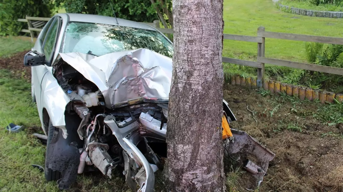 POL-MI: Autofahrer kollidiert mit Baum - Bild: presseportal.de