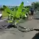 In Straßen taten sich große Risse auf. - Bild: -/XinHua/dpa