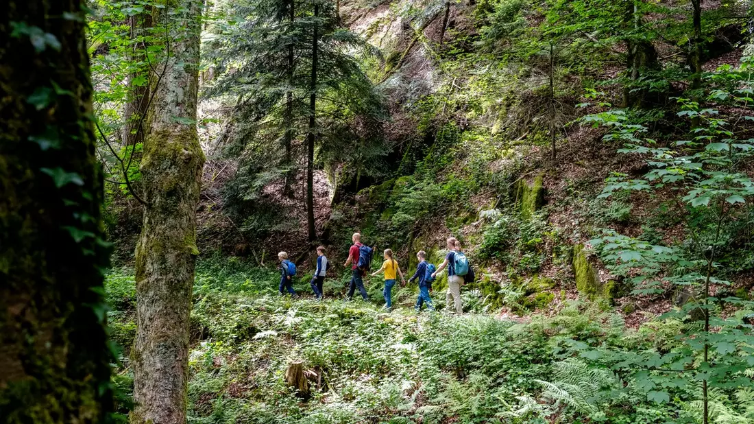 Ein Wald voller Geschichten - Bild: presseportal.de
