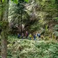 Ein Wald voller Geschichten - Foto: presseportal.de
