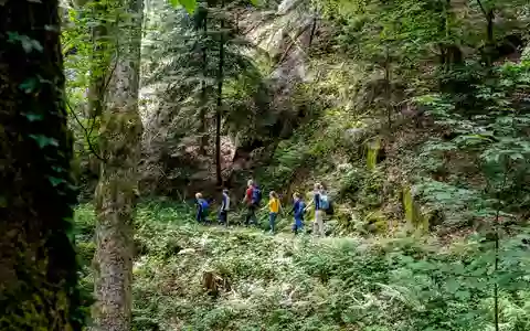 Ein Wald voller Geschichten - Bild: presseportal.de