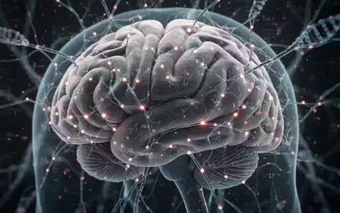 Nahaufnahme eines Gehirnscans oder eines neuronalen Netzwerks mit leuchtenden Datenpunkten, die genetische Risikofaktoren symbolisieren. - Foto: über boerse-global.de