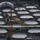 Kommt Stuttgart 21 erst 2031? Mehr Infos soll es Ende Juni geben. (Archivbild) - Bild: Bernd Weißbrod/dpa