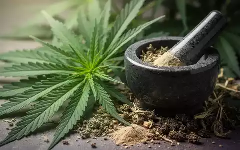 Nahaufnahme von Cannabisblättern und einem Mörser mit Kräutern, die medizinische Forschung und natürliche Heilmittel symbolisieren. - Foto: über boerse-global.de