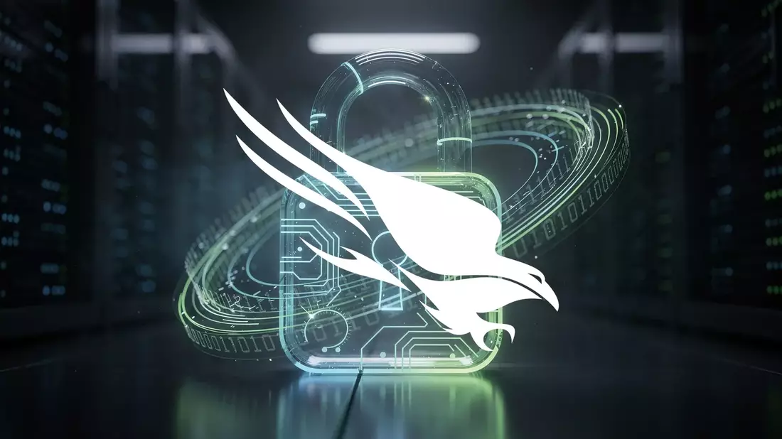 CrowdStrike Aktie: Rekordzahlen und Aktiensplit, dennoch Kursrutsch