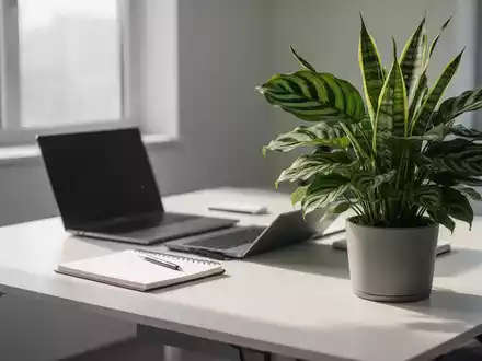 Ein moderner Schreibtisch mit Laptop, Notizbuch und einer üppigen Zimmerpflanze im Vordergrund, beleuchtet von natürlichem Licht. - Foto: über boerse-global.de