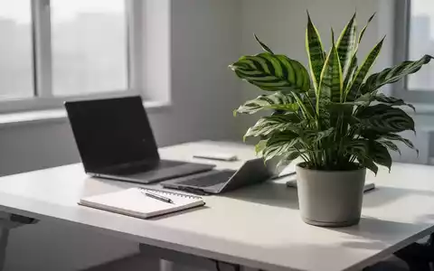 Ein moderner Schreibtisch mit Laptop, Notizbuch und einer üppigen Zimmerpflanze im Vordergrund, beleuchtet von natürlichem Licht. - Foto: über boerse-global.de