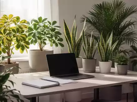 Ein minimalistischer Homeoffice-Schreibtisch mit Laptop, Notizbuch und mehreren Zimmerpflanzen wie Gold-Schefflera und Bogenhanf. - Foto: über boerse-global.de