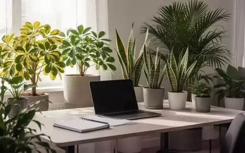 Ein minimalistischer Homeoffice-Schreibtisch mit Laptop, Notizbuch und mehreren Zimmerpflanzen wie Gold-Schefflera und Bogenhanf. - Foto: über boerse-global.de