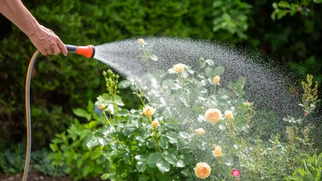 TÜV SÜD gibt Tipps zur modernen Gartenbewässerung - Bild: presseportal.de