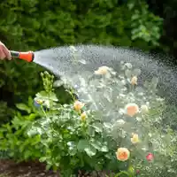 TÜV SÜD gibt Tipps zur modernen Gartenbewässerung - Foto: presseportal.de