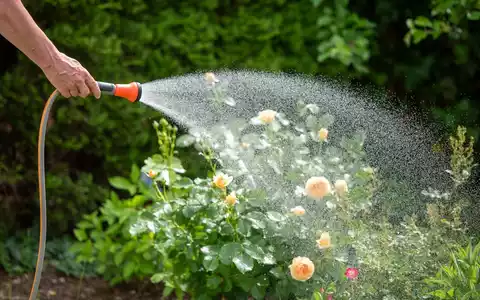 TÜV SÜD gibt Tipps zur modernen Gartenbewässerung - Foto: presseportal.de