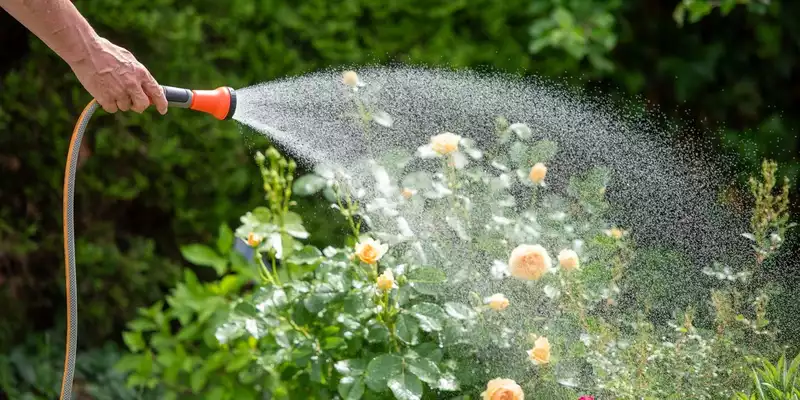 TÜV SÜD gibt Tipps zur modernen Gartenbewässerung - Foto: presseportal.de