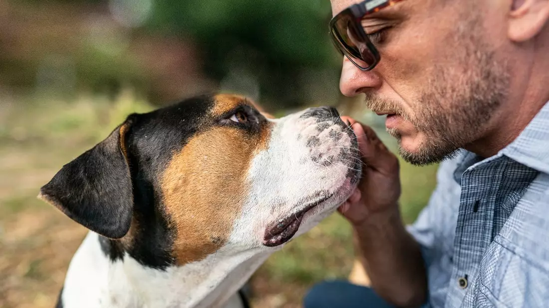 Ist mein Hund bereit für einen Tiersitter? / Die fünf entscheidenden Anzeichen für mehr Sicherheit beim ersten Tiersitter-Einsatz - Bild: presseportal.de