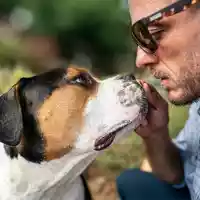 Ist mein Hund bereit für einen Tiersitter? / Die fünf entscheidenden Anzeichen für mehr Sicherheit beim ersten Tiersitter-Einsatz - Foto: presseportal.de