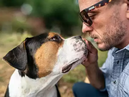 Ist mein Hund bereit für einen Tiersitter? / Die fünf entscheidenden Anzeichen für mehr Sicherheit beim ersten Tiersitter-Einsatz - Foto: presseportal.de