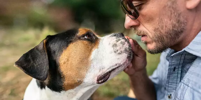 Ist mein Hund bereit für einen Tiersitter? / Die fünf entscheidenden Anzeichen für mehr Sicherheit beim ersten Tiersitter-Einsatz - Foto: presseportal.de