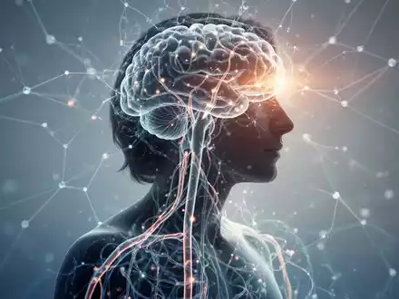 Eine Personensilhouette mit einem subtilen, leuchtenden neuronalen Netzwerk-Overlay, das das Nervensystem und mentale Gesundheit symbolisiert. - Foto: über boerse-global.de