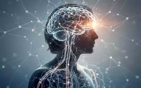 Eine Personensilhouette mit einem subtilen, leuchtenden neuronalen Netzwerk-Overlay, das das Nervensystem und mentale Gesundheit symbolisiert. - Foto: über boerse-global.de