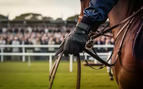 Nahaufnahme der behandschuhten Hand eines Jockeys, die die Zügel eines Pferdes bei einem Reitsportturnier hält, mit verschwommenem Hintergrund. - Foto: über boerse-global.de