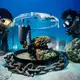 Wissenschaftler untersuchen im Roten Meer Korallen in einem Inkubator. - Bild: Uli Kunz/Nature/dpa