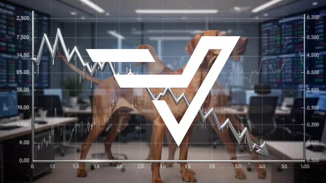 Vizsla Silver Aktie: Starker Kursverfall durch fallende Silberpreise