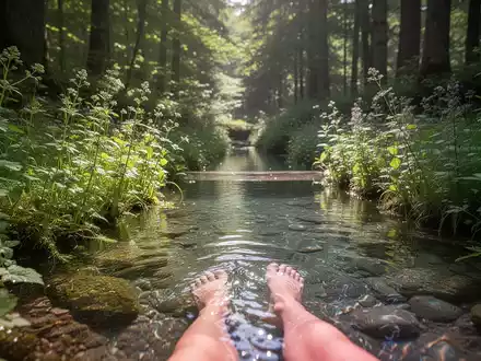 Ein natürliches Kneipp-Becken umgeben von üppiger Waldvegetation und Wildkräutern, mit Sonnenlicht, das durch die Baumkronen fällt. - Foto: über boerse-global.de