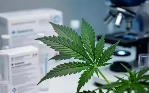 Nahaufnahme eines Cannabisblattes mit verschwommener pharmazeutischer Verpackung im Hintergrund, die medizinische Innovation symbolisiert. - Foto: ĂĽber boerse-global.de
