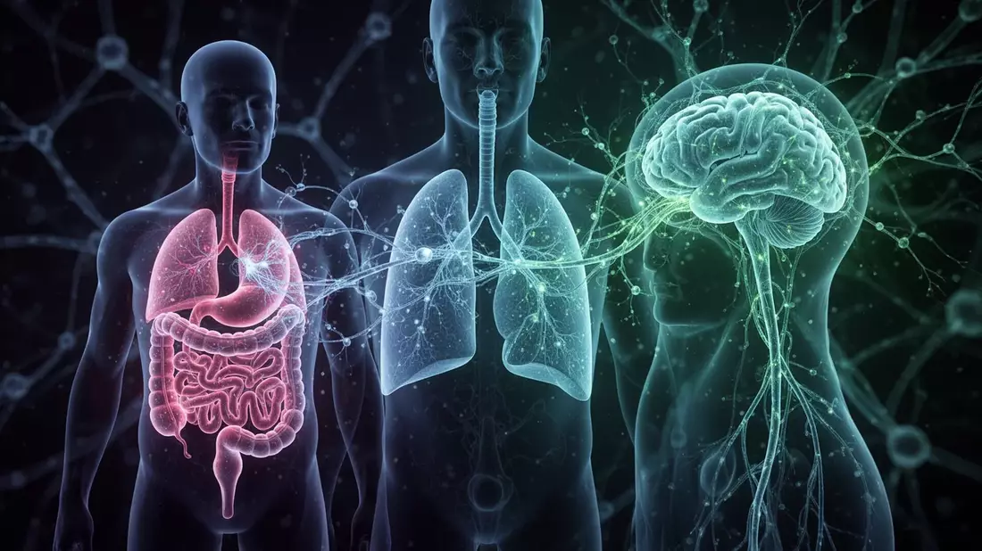 Darmbakterien als Schlüssel: Neue Studien zu Asthma und Allergien